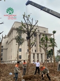 Thi công thực tế 110