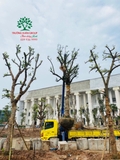 Thi công thực tế 110