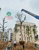 Thi công thực tế 110