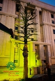 Thi công thực tế 111