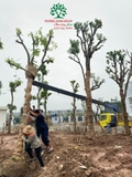 Thi công thực tế 112