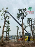 Thi công thực tế 112