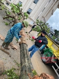 Thi công thực tế 112