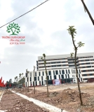 Thi công thực tế 113