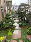Sân vườn 71