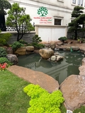 Sân vườn 71