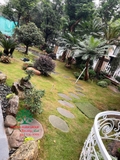 Sân vườn 71