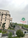 Thi công thực tế 115
