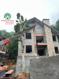 Thi công thực tế 114