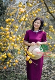 Cây Hồng Tết