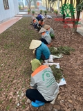 Ảnh thi công thực tế tại trường học