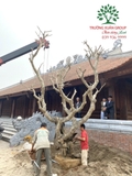 Công trình chùa Bồ Đà