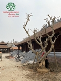Công trình chùa Bồ Đà