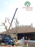 Công trình chùa Bồ Đà