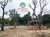 Công trình chùa Bồ Đà