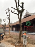 Công trình chùa Bồ Đà