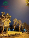 Thi công thực tế tháng 1-2024