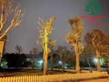 Thi công thực tế tháng 1-2024