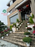 Bàn đá - cối đá 1