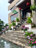 HOA CẨM TÚ CẦU