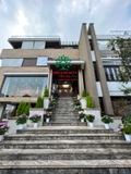 HOA CẨM TÚ CẦU