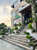 HOA CẨM TÚ CẦU