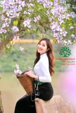 Cây Ban