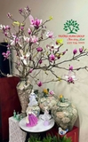 HOA MỘC LAN