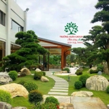 SÂN VƯỜN 35