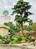SÂN VƯỜN 35