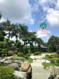SÂN VƯỜN 35
