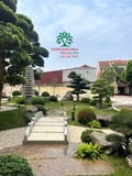 SÂN VƯỜN 35