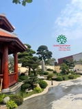 SÂN VƯỜN 35