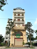 CÂY CHUÔNG VÀNG
