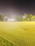 CÂY MỸ NHÂN