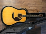Guitar Morris W40