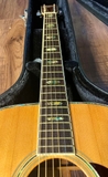 Guitar Morris W40