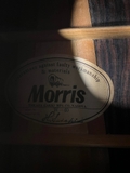 Guitar Morris W40