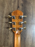 Guitar Dadarwood DW-TH650CS