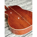 Guitar acoustic Hồng đào EQ7545 đuôi dài