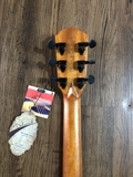 Guitar Dadarwood DW-F610CS