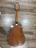 Guitar SPREAD & MUSIC W65