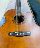 Đàn Guitar Merida extrema DG-20FOLC