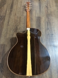 Guitar Dadarwood DW-TH650CS