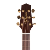 Đàn Guitar Acoustic Takamine P5DC Whiskey Brown