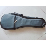 Bao da Mandolin