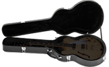 Hard case guitar điện Epiphone