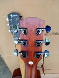 Guitar Rosen G15