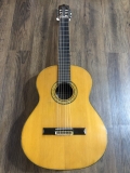 Guitar Yamaha C250