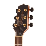 Đàn Guitar Acoustic Takamine GD93
